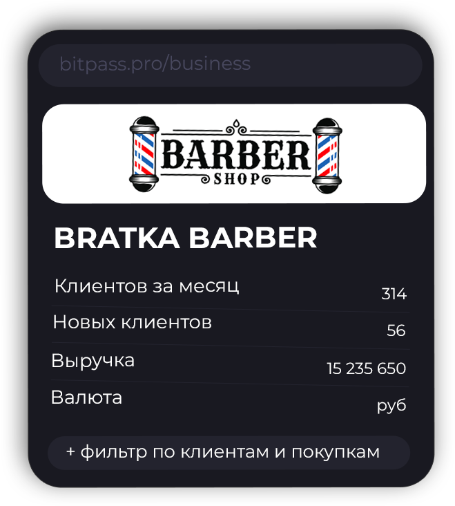 Интерфейс для бизнеса BitPass